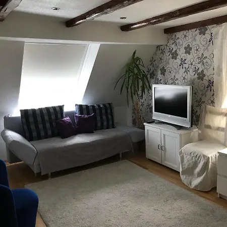 Ferienwohnung Romantica 1. Und 2. Og Schopfloch Buitenkant foto